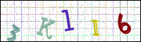 Verificación de la imagen